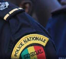 Escroquerie au visa: Jules gruge Saliou pour 3,5 millions FCfa, d’autres victimes se signalent