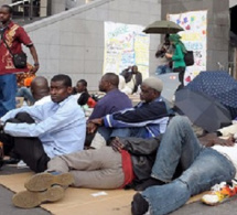 Réduction du taux de chômage : Le Sénégal a connu des avancées notoires