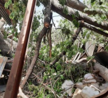 Gambie: 10 morts dans une tempête, un millier de sans abri à travers le pays