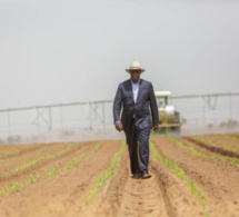 Inauguration du DAC de KMS3 par Macky Sall: Au moins 10.000 emplois espérés