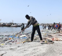 Hann-Gestion des déchets solides sur la plage : Une brigade de la propreté créée
