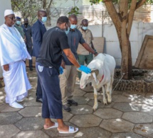 Tabaski et Coronavirus: 3969 cas et 32 décès en 10 jours, une marinade pimentée à portée de...