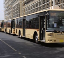 Situation de Dakar dem dikk : «L’offre de transport à Dakar reste quasi médiocre»