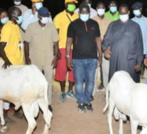 Macky Sall offre 5000 moutons de Tabaski, « sans condition de coloration politique »