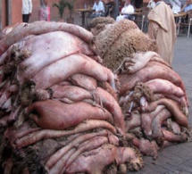 Vente de peaux de moutons après la Tabaski à Dakar : Zoom sur un business qui s’est transformé
