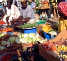 Sénégal : Bonne tenue de l’activité de l’activité économique interne en juin 2021
