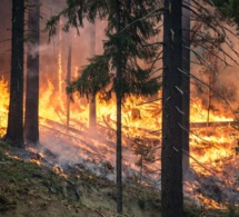 Cinq points à surveiller dans le rapport du GIEC sur le climat