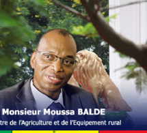 Kaolack / Polémique sur la distribution des intrants: Les pro-Baldé s’en prennent aux opérateurs