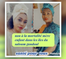 L'association Niomineka Senegalo-Turballais de Bibi le Roux lance le projet pour un district de santé à Fimla