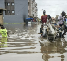 Guy Marius Sagna: « Les membres du gouvernement n’habitent pas dans les quartiers inondés »