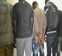 Coup de filet de la Police: Arrestation d’une bande d'agresseurs à Dalifort