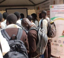 Enseignement supérieur: Près de 68 548 nouveaux Bacheliers attendus dans les Universités du pays