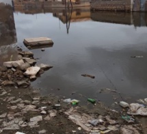 Inondations / Le quartier Thierno Kandji de Diourbel sous les eaux: HSF lance un appel à la solidarité internationale !