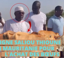 MAGAL TOUBA:2830 bœufs en route pour Touba en attedant,Serigne Saliou Ndigueul Thioune delone na boum sa mboy mboy