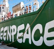 Usine de fabrication de farine de poisson à Sandiara et Kayar : Greenpeace Afrique devrait informer juste et vrai…( Kadialy Gassama),