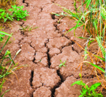 Le changement climatique et ses conséquences s’accélèrent, prévient l’ONU