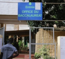 Les travailleurs de l’office du bac dans une colère noire: le directeur Socé Ndiaye sur le banc des accusés