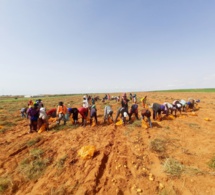 Renforcement des productions agricoles : Trade Hub octroie une subvention de 623 millions FCFA à la société Agro Boye