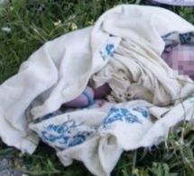 Monument de la Renaissance: Un nouveau-né retrouvé vivant dans un bac à ordures