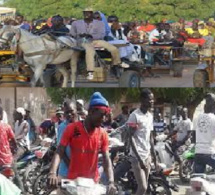 Transport à Touba durant le Magal : Les charretiers et conducteurs de Jakarta se sont frottés les mains