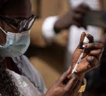 Alerte Santé au Sénégal: une microalgue marine toxique découverte sur le littoral