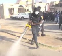 Opération de désinfection : Kaolack se purifie avant le Gamou
