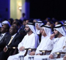 Investissements des Émirats Arabes Unis en Afrique: Une nouvelle ère de coopération en cours