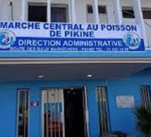 Djiby Ndiaye, Pdt du collectif des mareyeurs du Sénégal : «L’ex-Dg du marché central de Pikine doit s’expliquer sur les 140 millions de L’APIX»