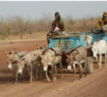 A Thionokh, des femmes accouchent dans des voitures "Wopou yaha", faute d'ambulance !