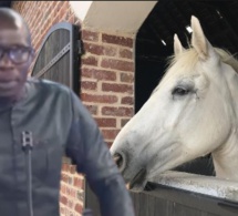 Urgent: Les graves révélations de Mansour Diop de la Sen Tv 《niome fi niou dénthie s'en fass》