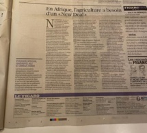 «En Afrique, l’agriculture a besoin d’un “New Deal”»