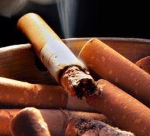 Politiques de développement: L’impact du tabacisme mis en exergue