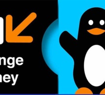 Escroquerie via Wave et Orange Money: la DSC démantèle une bande de faux agents de la Sonatel