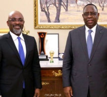 Candidat de BBY à la Médina : Macky Zappe Seydou Gueye, choisit Cheikh Ameth Tidiane Ba…