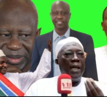 TANGE SUR LES PRESIDENTIELLES GAMBIE: MABO TOURE DEMENT LES PROPOS DE PAPE NJIE PRO ADAMA BARROW...