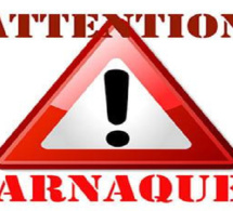 Arnaques politiques et fausses candidatures : Ces « lièvres » qui détalent !