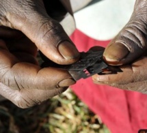 Accusée d'avoir excisé sa fille: Une fonctionnaire de l'Unicef traîne son ex-mari à la barre