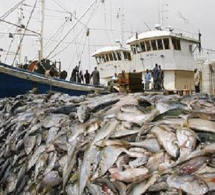Pêche Inn dans les pays membres de la Csrp : Les pertes estimées à 1,9 milliard d’euros par an