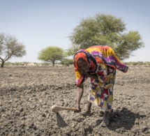 Etats-Unis: Comment Jamra a touché Joe Biden sur le dérèglement climatique