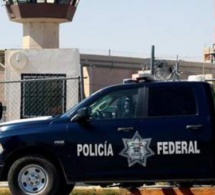 La femme du roi des narcotrafiquants mexicains arrêtée