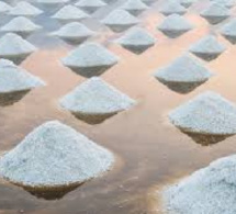 Valorisation de l’or blanc dans le Saloum : Vers une plateforme de commercialisation de sel iodé de qualité