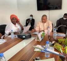 Coopération bilatérale : Quand le Niger s’inspire du FAISE pour sa Diaspora