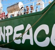 Préservation des activités de la pêche : Greenpeace Afrique réclame des actes forts de la part de l'Etat du Sénégal