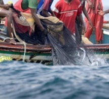 Laissés en rade : L’intersyndicale des travailleurs de la pêche annonce une grève