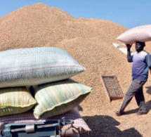 Campagne de commercialisation de l’arachide: Un bon déroulement souhaité