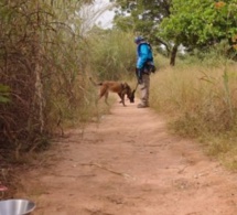 Des opérations de sécurisation en cours dans la région de Ziguinchor (armées)