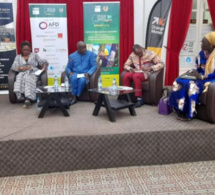 «93% des entreprises n’ont pas de politique RSE », Gloria Paraiso Jossou, contributrice Sénégal