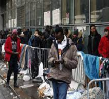 L’émigration, Une chance pour la France Par Alassane Thiam (S. Sud Quotidien)