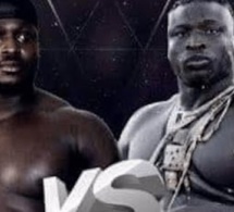 Combat Modou Lo vs Ama Balde : Suivez la declaration de Luc Nicolai and Co