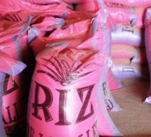 Développement chaîne de valeur du riz : Des inégalités compromettent les perspectives pour les femmes